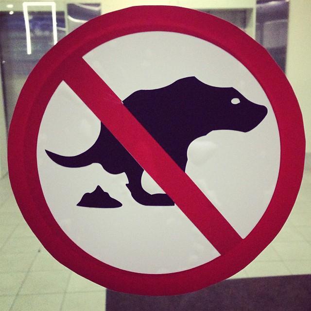 Ящерам вход. Вход с животными запрещен табличка. Табличка с собакой запрещено. Волк запрещающий знак. Табличка собакам вход воспрещен.