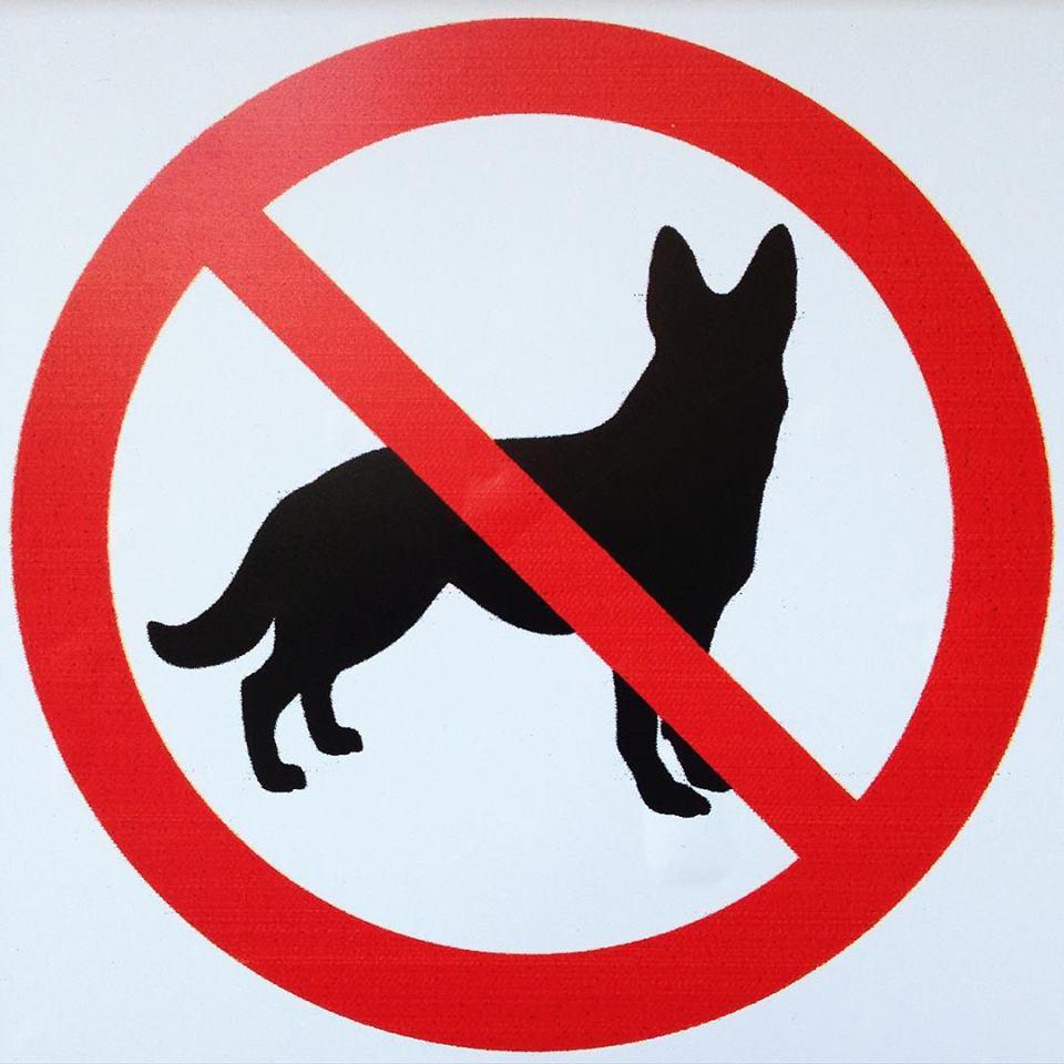 С животными нельзя знак