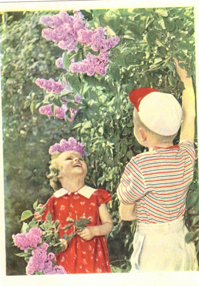Цветы советских времен. Счастливое детство. Советские открытки с детьми. Советское детство цветные. Советские дети весной.