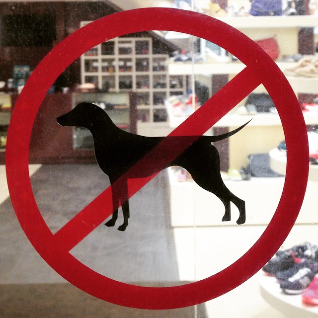 Запрещено выгуливать собак. В какой стране запрещены собаки. С животными в магазин нельзя. Запрещенные собаки. Вход в магазин с собаками запрещен.